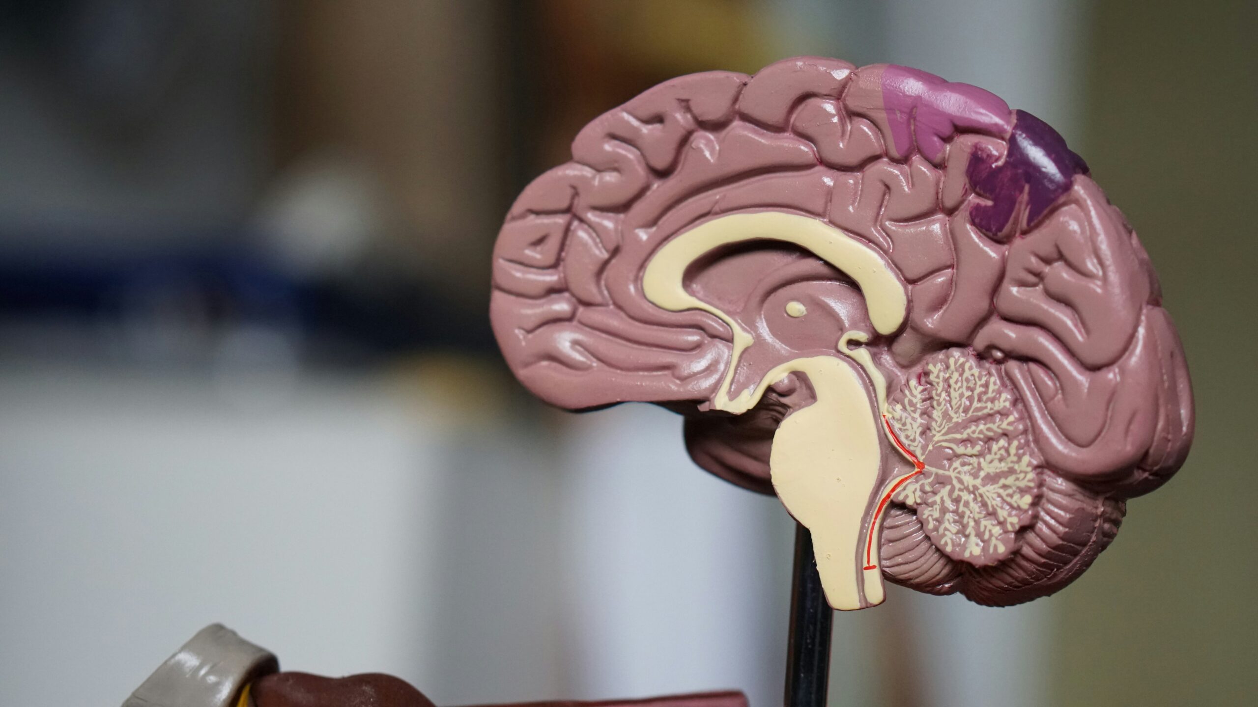 Maximize Your Impact: Strategies for High-Converting Medical Device Pages