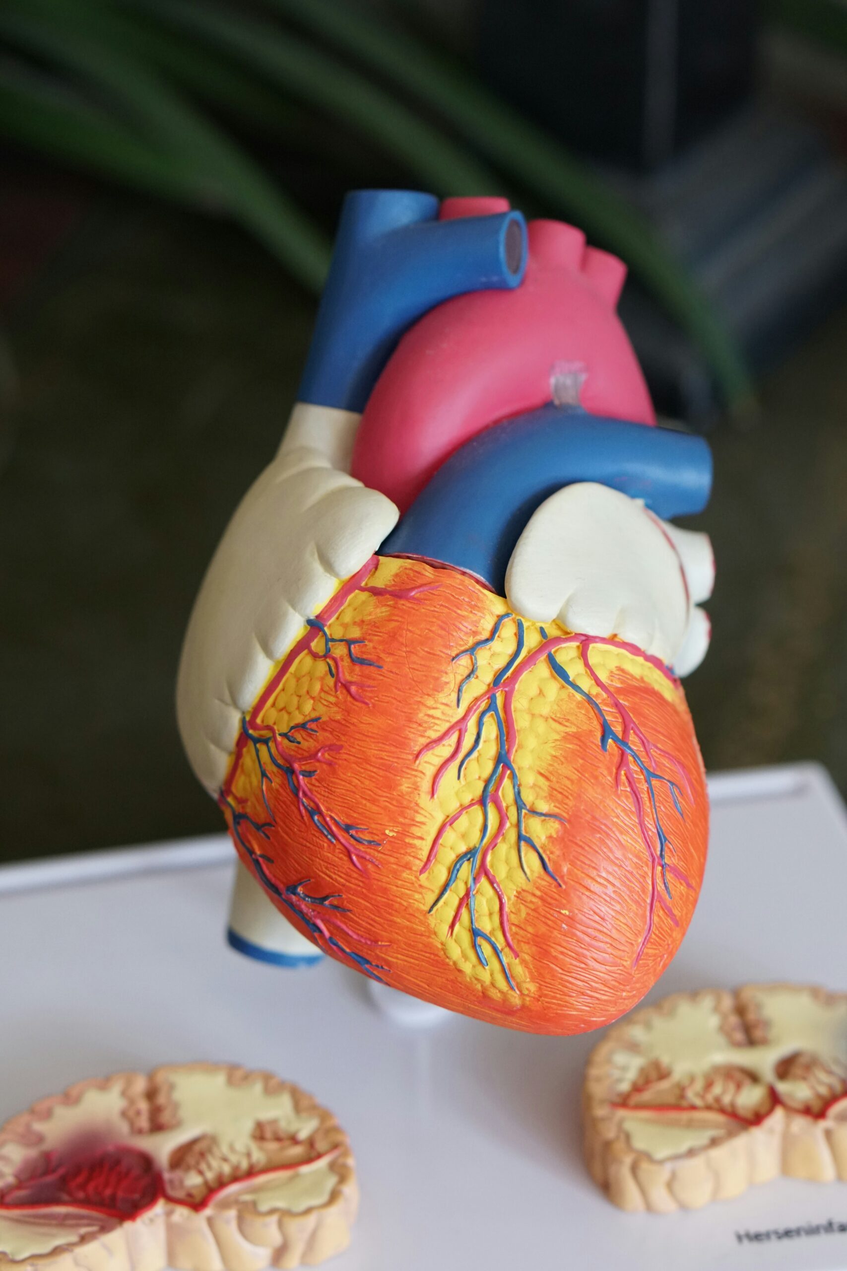 3. Unleash Your Potential: Optimizing Medical Device Landing Pages Effectively